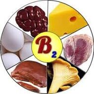 B2 B2 Vitaminer for hjernen